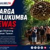 Warga Bulukumba Meninggal Diduga Diserang Kawanan Tawon