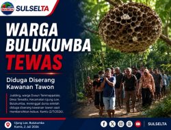 Warga Bulukumba Meninggal Diduga Diserang Kawanan Tawon
