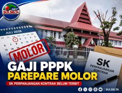 Gaji 1.338 PPPK Parepare Molor, Tunggu SK Perpanjangan Kontrak