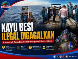 Kayu Besi Ilegal Menuju Bulukumba Digagalkan Kemenhut