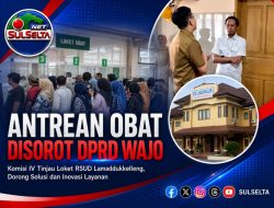 Antrean Obat RSUD Lamaddukkelleng Disorot DPRD Wajo