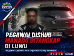 Oknum Pegawai Dishub Manado Diamankan di Luwu Usai Diduga Bawa Kabur Mobil