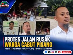 Protes Jalan Rusak di Wajo Berakhir Damai, Kades Minta Maaf dan Pohon Pisang Dibersihkan