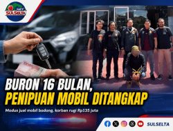 Pria Buron Penipuan Mobil Rp135 Juta Ditangkap di Halmahera