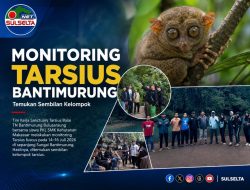 Monitoring Tarsius Bantimurung Temukan Sembilan Kelompok