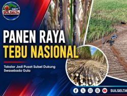 Panen Raya Tebu Nasional Digelar Serentak, Takalar Perkuat Swasembada Gula