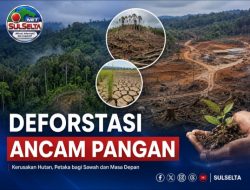 Deforestasi Sulsel Dinilai Berpotensi Mengancam Ketahanan Pangan