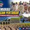 Kemarau Panjang, 75 Hektare Sawah Pinrang Kekeringan Parah