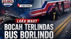 Motor Oleng, Bocah Tewas Terlindas Bus di Luwu Utara