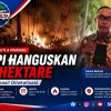 Karhutla Pinrang Hanguskan 5 Hektare, Api Berhasil Dilokalisasi