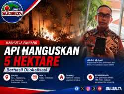 Karhutla Pinrang Hanguskan 5 Hektare, Api Berhasil Dilokalisasi