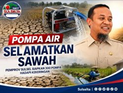 Pemprov Sulsel Percepat Pompanisasi Selamatkan Sawah dari Kekeringan