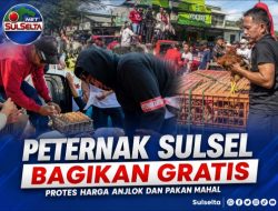 Peternak Sulsel Bagikan Telur dan Ayam Gratis