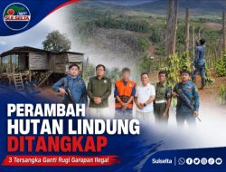 Tiga Tersangka Perambah Hutan Lindung Diamankan di Luwu Timur