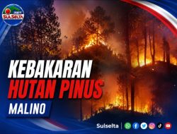 Kebakaran Hutan Pinus Malino Hanguskan Dua Hektare Lahan