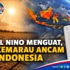 El Niño Menguat, Kemarau Ancam Indonesia