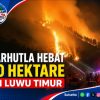 Karhutla 20 Hektare di Luwu Timur Berhasil Dipadamkan