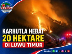 Karhutla 20 Hektare di Luwu Timur Berhasil Dipadamkan