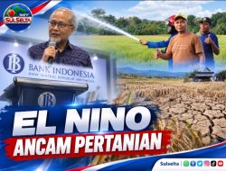 BI Sulsel Waspadai El Nino, Harga Beras Terancam Naik