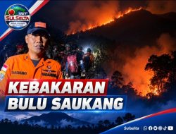 68 Pendaki Dievakuasi dari Kebakaran Gunung Bulu Saukang