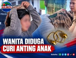 Wanita Diduga Curi Anting Anak Diamankan Warga Gowa