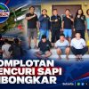 Polsek Lau Bongkar Komplotan Pencuri Tiga Sapi