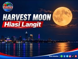 Harvest Moon Hiasi Langit, BMKG Ingatkan Pasang Laut